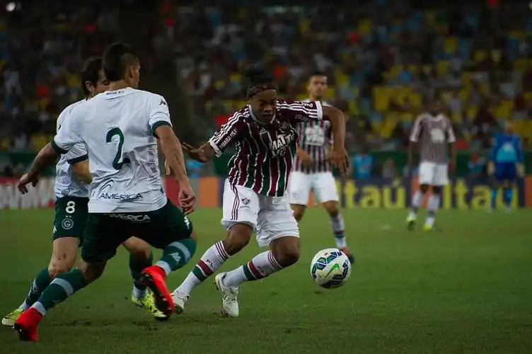 科表现出色 科表现出色